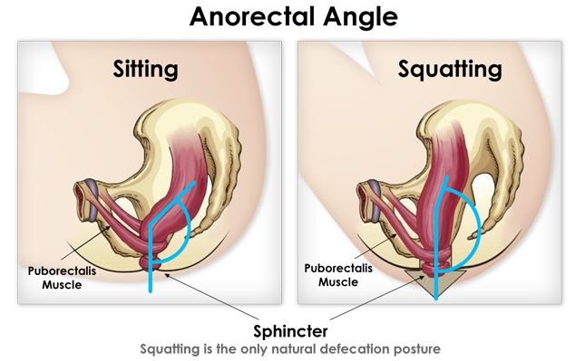 positionphysiologiqueHNI.jpg